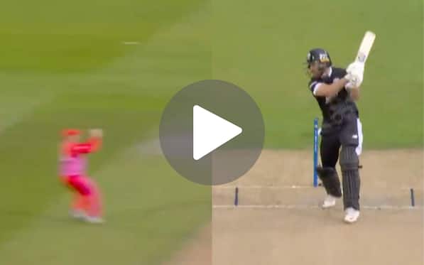 [Watch] David Willey Rocks The Originals Early; Phil Salt Goes For A Silver Duck